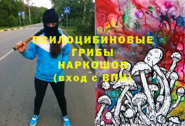спиды Корсаков