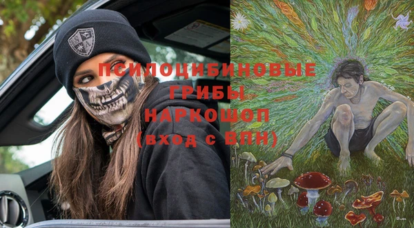 спиды Корсаков
