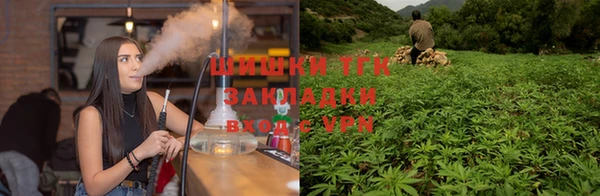 спиды Корсаков